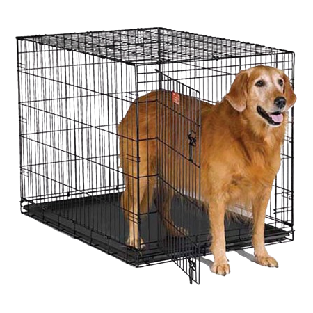 Cages ສັດລ້ຽງເປັນມືອາຊີບ